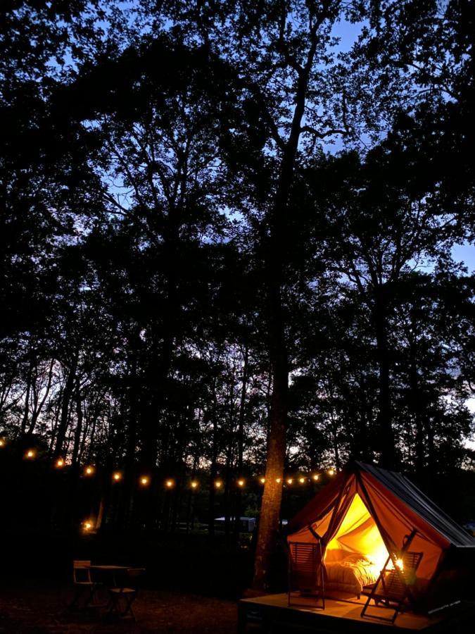 Camping De La Foret Seasonova Sillé-le-Guillaume Kültér fotó